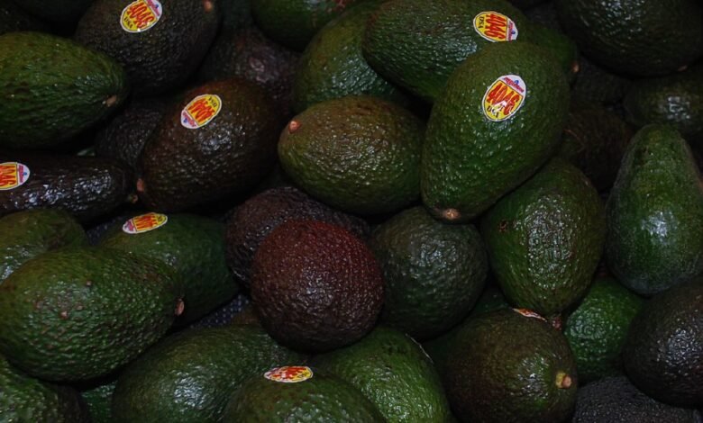 Avocado Benefits for Diabetics