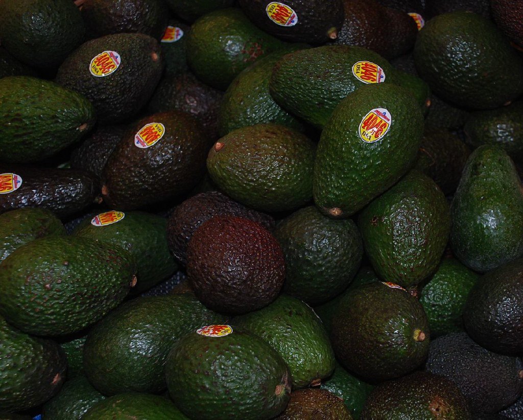 Avocado Benefits for Diabetics