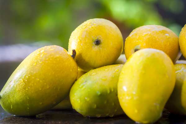 Soak mangoes
