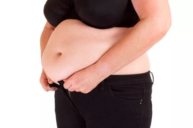 belly fat in females