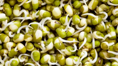 Health Benefits of Moong Sprouts