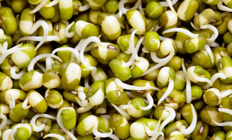 Health Benefits of Moong Sprouts