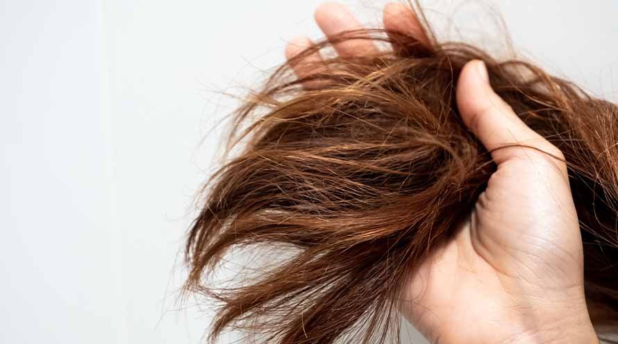 Shikakai Benefits for Hair 