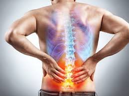 Reduces Joint and Muscle Pain